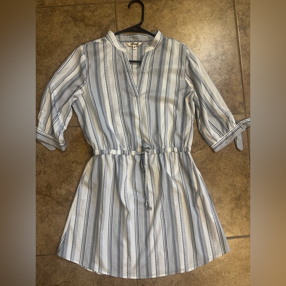 Blush Long Sleeve Striped Dress - Blue and White